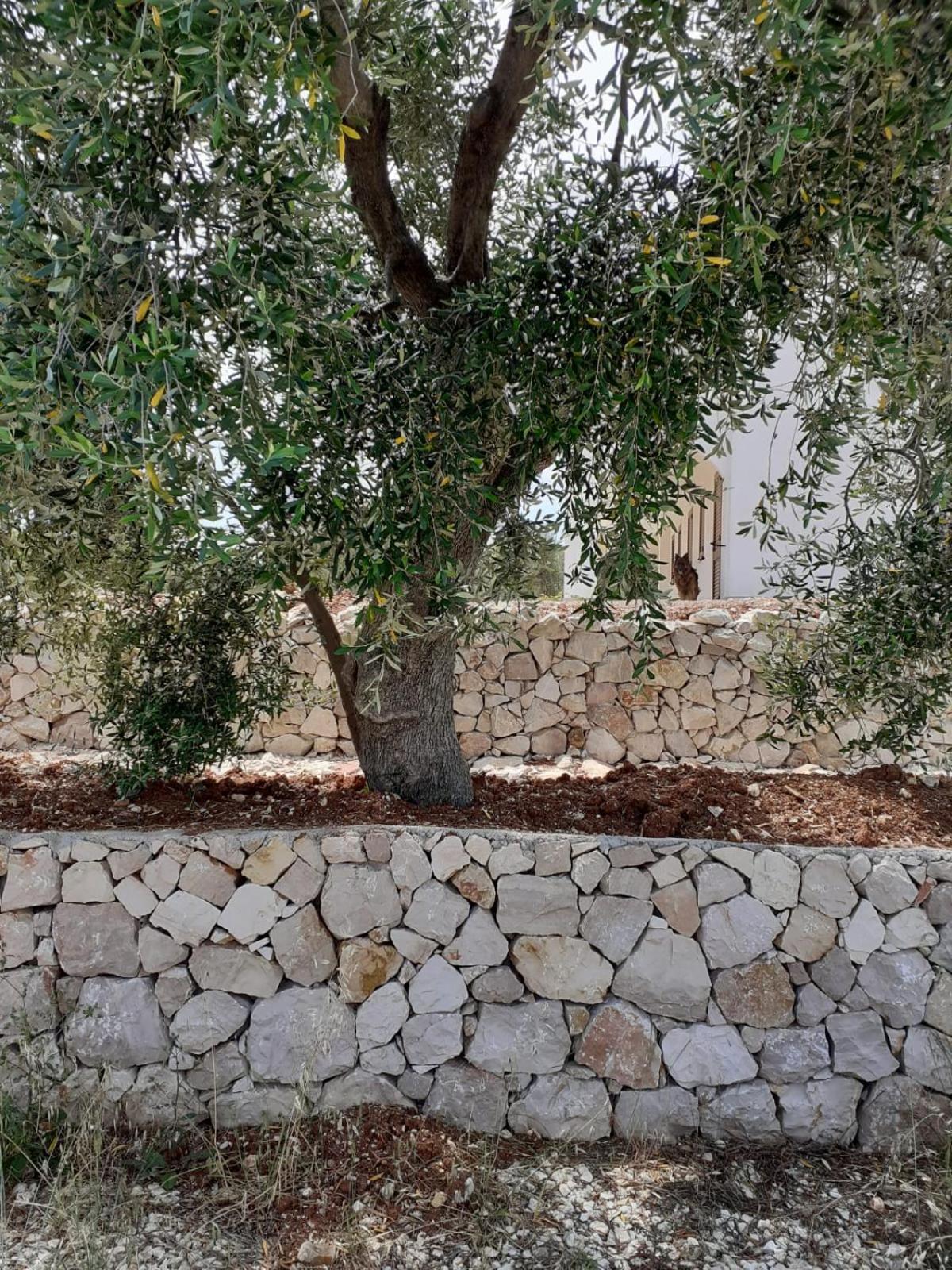 Borgo Rosoli 비에스테 외부 사진